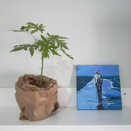 Casa de Férias Live Puertito Cortes